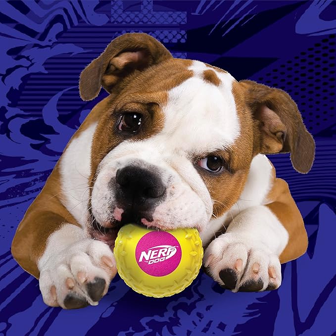 Nerf Dog 2.5in Squeak Armor Tennis Ball Dog Toys 3-Pack -Yellow/Pink and Orange/Blue and Blue/Green