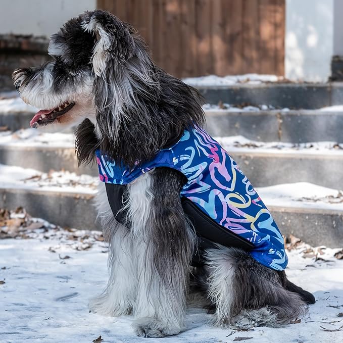 CuteBone Winter Dog Jacket - Waterproof Windproof Reversible Vest with Leash Hole for Small to Large Dogs