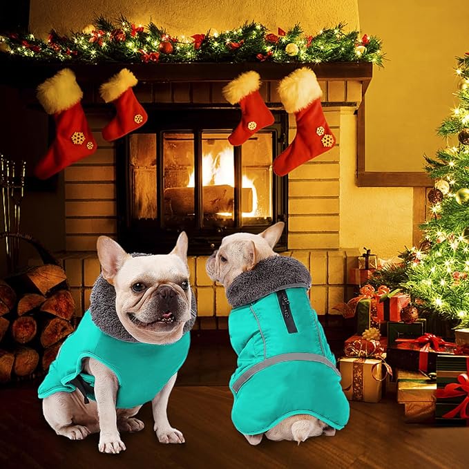 Dogcheer Warm Dog Coat, Waterproof Dog Jacket Christmas Puppy Winter Coat with Buckle, Reflective Adjustable Pet Snow Jacket Turtleneck Fleece Sweater for Small Medium Large Dogs - Pine Green, L