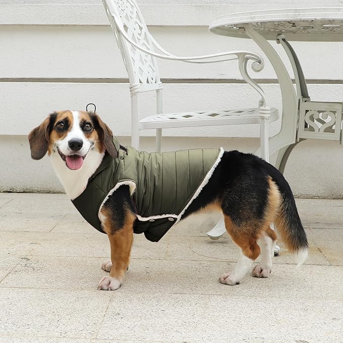 Fleece Lining Dog Hoodie with Harness Built in,Extra Warm Small Dog Jacket in Winter Puppy Coats with Drawstring Hooded,Green M