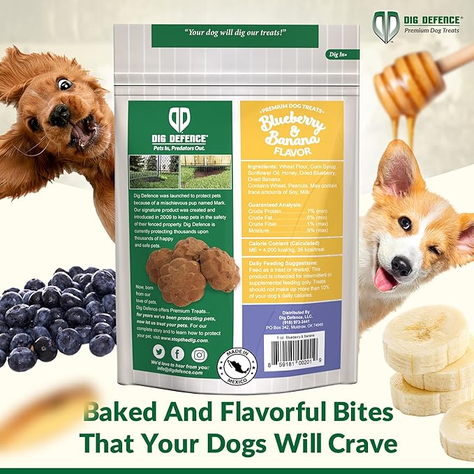 Dig Defence Premium Dog Treats - Blueberry and Banana, Natural Ingredients, Baked Gourmet Snacks for Small & Big Dogs, Healthy Training Treat, 2 Pack