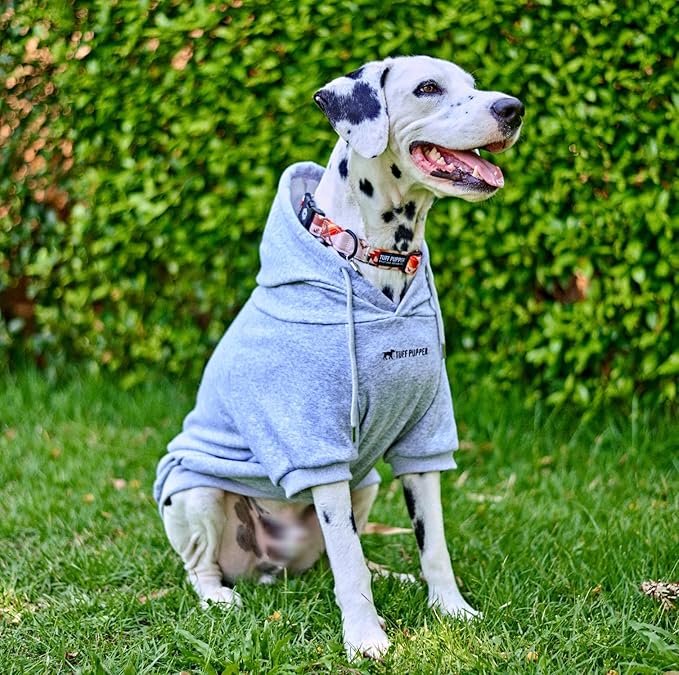 Tuff Pupper Dog Hoodie | Premium Quality 100% Organic Cotton | Ultra Soft Interior for Superior Comfort | Elastic Cuffs & Drawstring for Warmth | Stretch Fit Suitable for All Breeds (Gray, XL)
