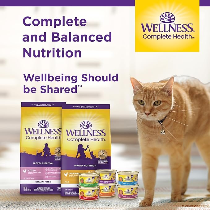 Wellness Complete Health Kitten Dry Cat Food for Indoor and Outdoor Cats, Grain Free, Natural, Chicken & Chicken Meal (5.5 Pound Bag)