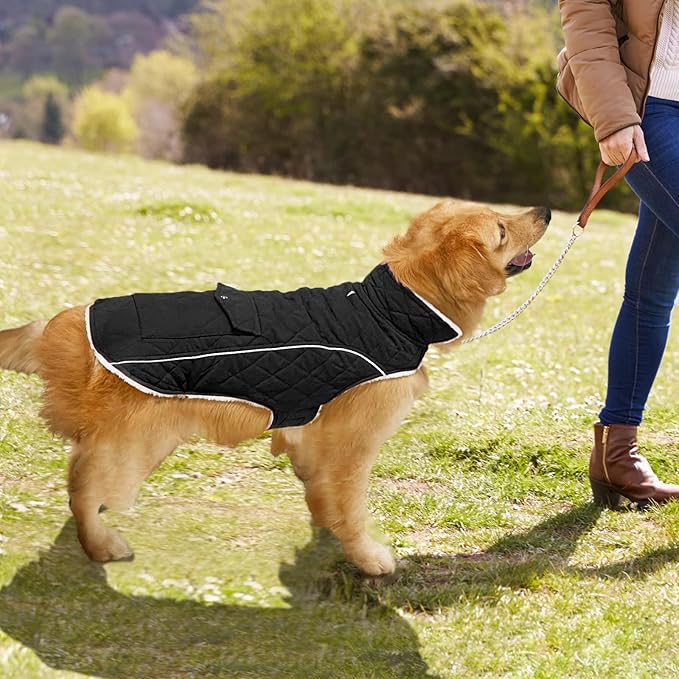 Malier Dog Winter Coat, Windproof Dog Cold Weather Coats with Real Pocket, Winter Extra Warm Pet Coat Fleece Jacket Reflective Clothes for Small Medium Large Dogs and Puppy (Black, Large)