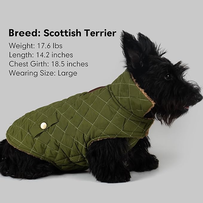 azuza Dog Jacket Waterproof & Windproof Dog Coat for Small Dogs with Thick Fleece, High Collar with Leash Hole, Adjustable Velcro & Elastic Belly, Army Green, S