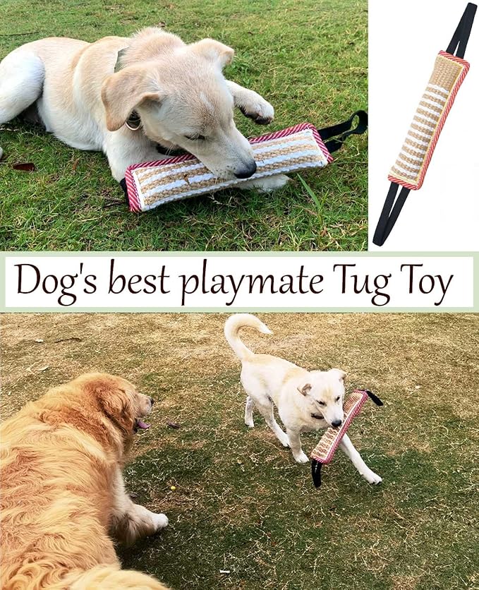Clysoru Tug Toy for Dogs Squeaky Toy with 2 Strong Handles Lasting Training Equipment Puppy to Large Dog Interactive Toys of War Pull Indestructible Rope Pet Crinkle Teething (Flower)