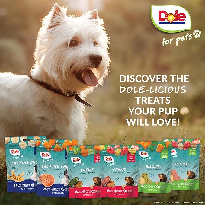 Dole for Pets Freshly Fetched Lasting Chew, Pumpkin Flavor Dog Treats | Flavored with Real Veggies, No Wheat, Corn, Soy, Artificial Flavors, Colors, Preservatives, or Animal Products,8 Ounce - 6 Pack