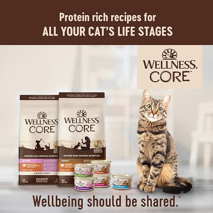 Wellness CORE Adult Dry Cat Food for Indoor & Outdoor Cats, Grain-Free, Natural, Original Turkey, Turkey Meal & Chicken (11 Pound Bag)