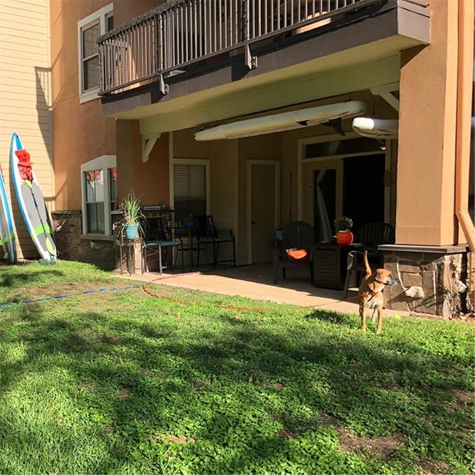Siumouhoi Dog/Puppy Obedience Recall Training Agility Lead - 15ft 20ft 30ft 40ft 50ft Training Leash - Great for Play, Camping, or Backyard - Orange 20ft (20Feet, Orange)