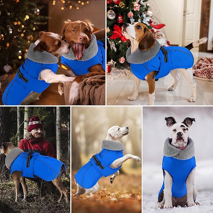 Dogcheer Dog Coat with Pocket, Waterproof Dog Jacket with Adjustable Buckle, Reflective Puppy Winter Coat Warm Turtleneck Fleece SnowJacket for Small Medium Large Dogs - Blue M