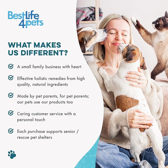 Dog Eye Infection & Eye Care Support Supplements, Natural Relief from Conjunctivitis, Swelling, Tear Stains, Dry Eyes and Discharge, Easy to Use, No More Struggle with Canine Drops, 400 Small Pills