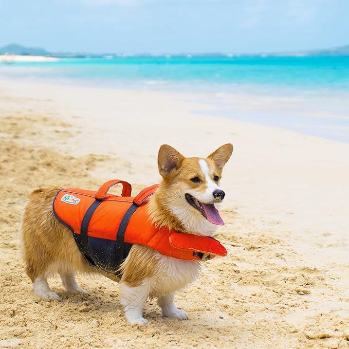 Outward Hound Granby Splash Dog Life Jacket, High-Buoyancy Dog Life Vest for Swimming, Boating, and Water Safety, Small, Orange