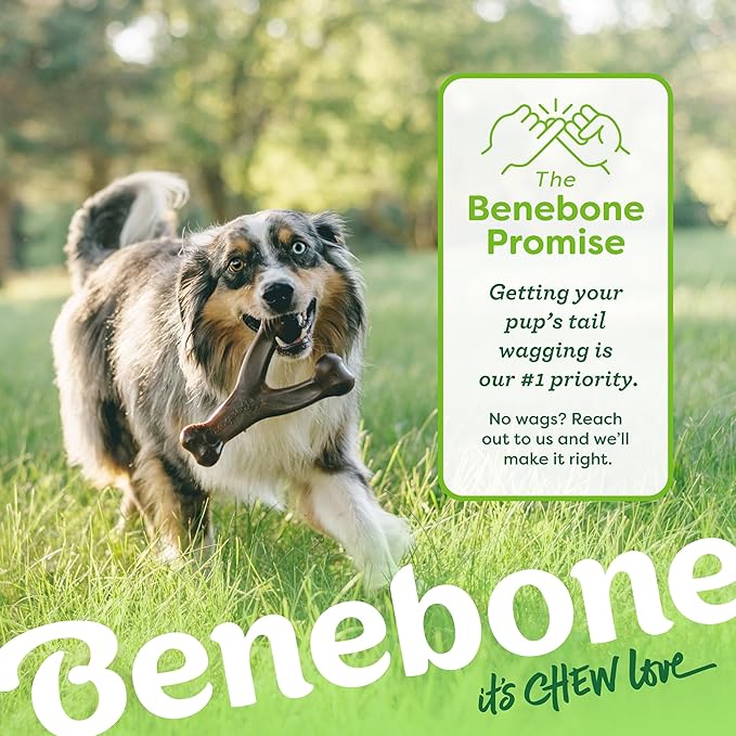 Benebone Tiny 2-Pack Dog Chew Toys, Made in USA, Real Bacon Flavor
