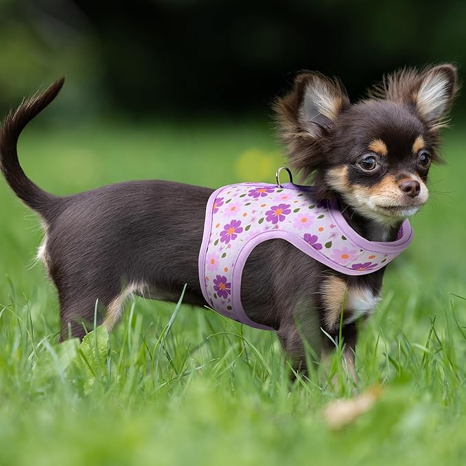 Mile High Life Dog Harness, Air Mesh Floral Vest Harness for 20 lbs Small Dogs & Cats, Easy Get on Adjustable Easy Closures Both Neck and Chest(Purple Flower, XS Chest 14"-16")