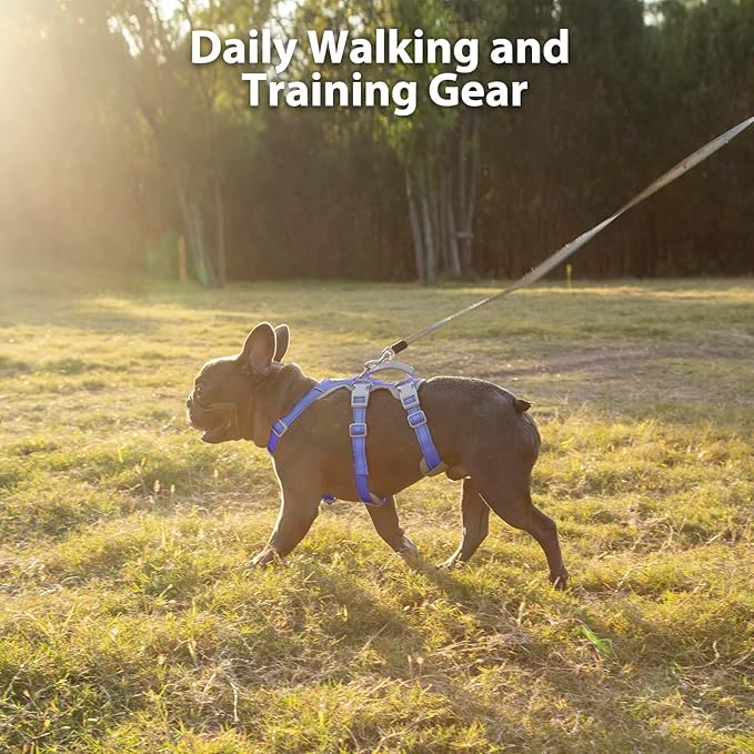 Huntboo Escape Proof Harness, No Slip Dog Harness Escape Proof,Fully Reflective Harness with Handle, Breathable,Durable, Adjustable Vest for Medium Dogs Walking,Training,and Running Gear(Vista Blue,M)