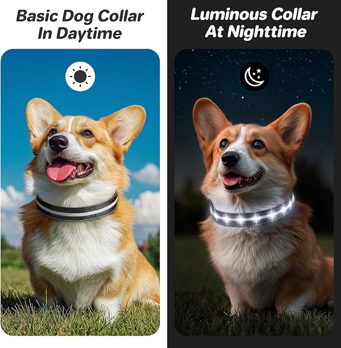 PcEoTllar Light Up Dog Collars, Led Dog Collar, Rechargeable, Night Walking, Waterproof, Glow in The Dark Dog Collars Light for Large Small Medium Dogs, Black l