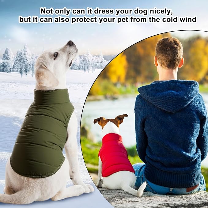 Syhood 2 Pieces Dog Jacket 2 Layers Fleece Lined Dog Jacket Warm Soft Windproof Small Pet Coat for Cold Winter Weather (L,Red,Green)