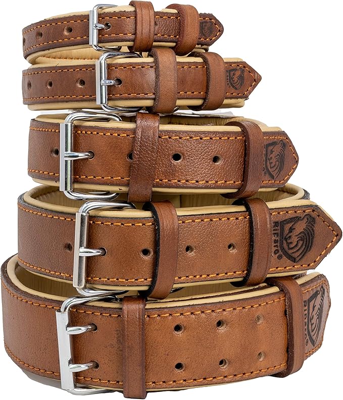 Riparo Dog Collars for Medium Dogs, Genuine Leather Dog Collar, Medium Dog Collar (M: 1" Wide for 13.5β-17.5β Neck, Black/Orange Thread)