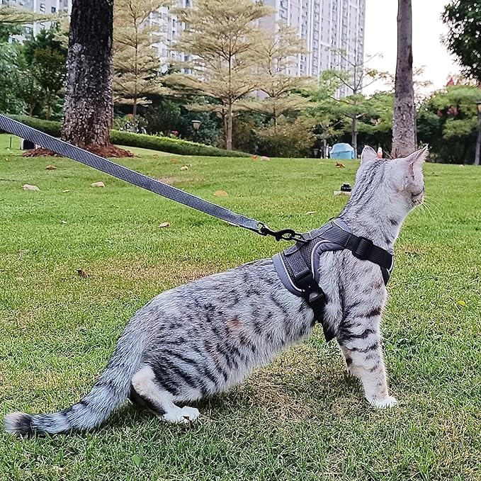 Cat Harness and Leash Set Escape Proof Tactical Extra Large Kitten Harness Emotional Support Cat Vest, Grey, XL