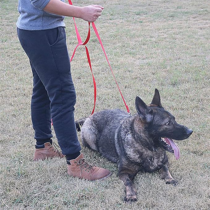Dog/Puppy Obedience Recall Training Agility Lead - 20ft Long Training Leash,3/4in Wide - Great for Play, Camping, or Backyard(Purple,20 Feet)