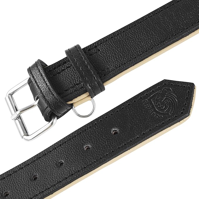 Riparo Genuine Leather Padded Dog Heavy Duty K-9 Adjustable Collar (XXL: 2” Wide for 24”-29” Neck, Black)