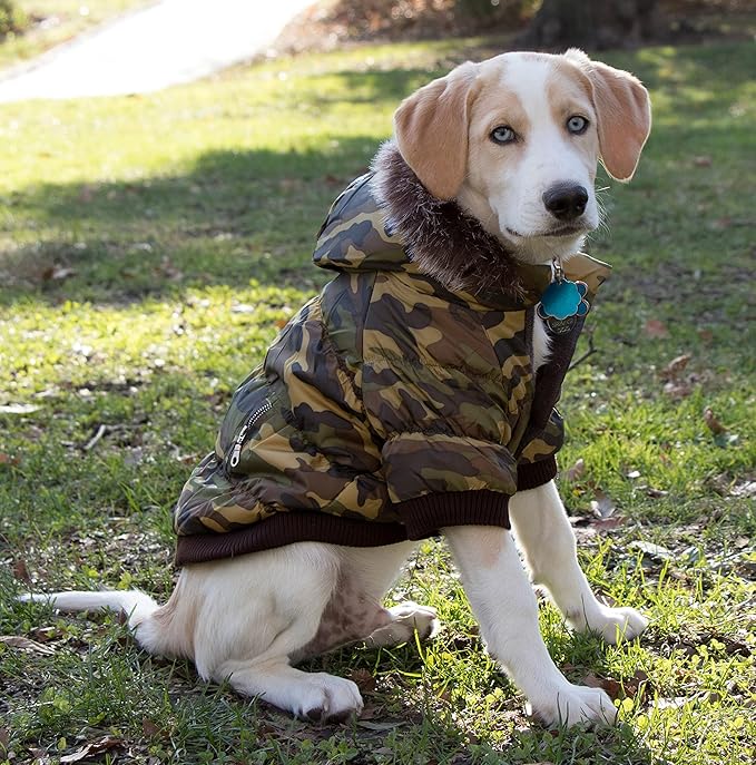 PET LIFE Classic Metallic Fashion Pet Dog Coat Jacket Parka w/ 3M Insulation and Removable Hood, Large, Camouflage