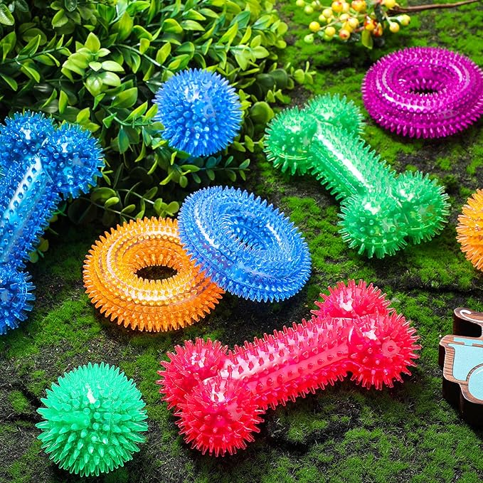 Yunsailing 9 Pcs Dog Squeaky Toys Set, Dog Squeaky Balls Bone Shape Teething Toys Donut Shape Balls for Small Puppy Medium TPR Rubber Pet Chew for Training Fetching Teething