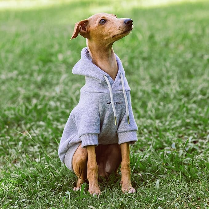 Tuff Pupper Dog Hoodie | Premium Quality 100% Organic Cotton | Ultra Soft Interior for Superior Comfort | Elastic Cuffs & Drawstring for Warmth | Stretch Fit Suitable for All Breeds (Gray, XS)