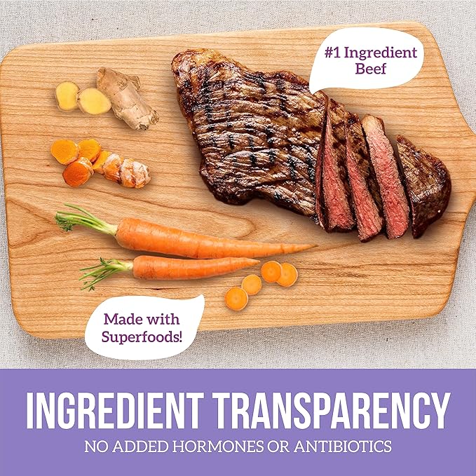 Health Extension Wet Dog Food Beef & Carrot Entrée in Gravy, 9 oz - Digestive Support with Superfoods & Antioxidants for Immune Support (Case of 12 Cans)