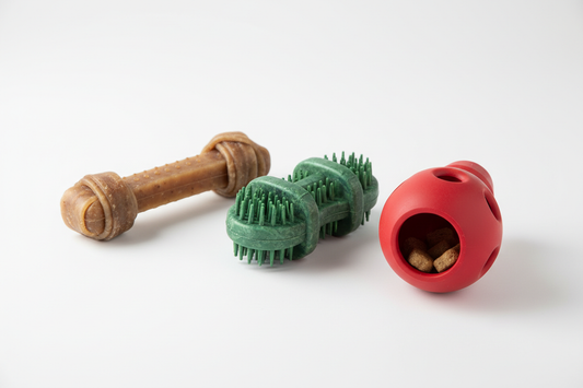 Best Training Chew Toys for Behavior Correction
