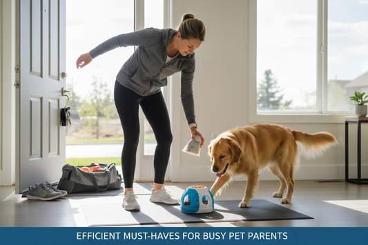 Must-Have Toys for Busy Dog Owners