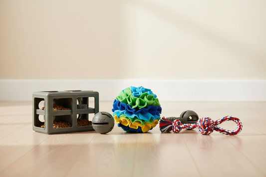 Best Indoor Energy Toys