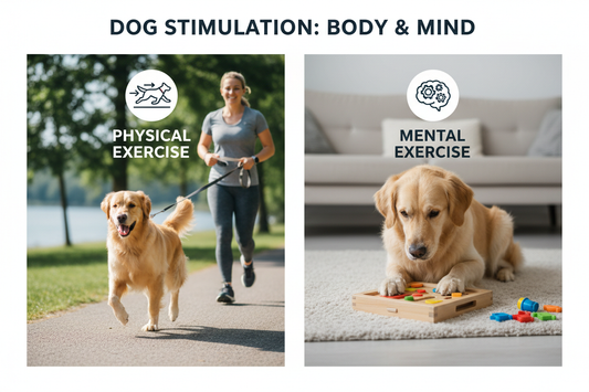 Physical vs Mental Exercise Explained