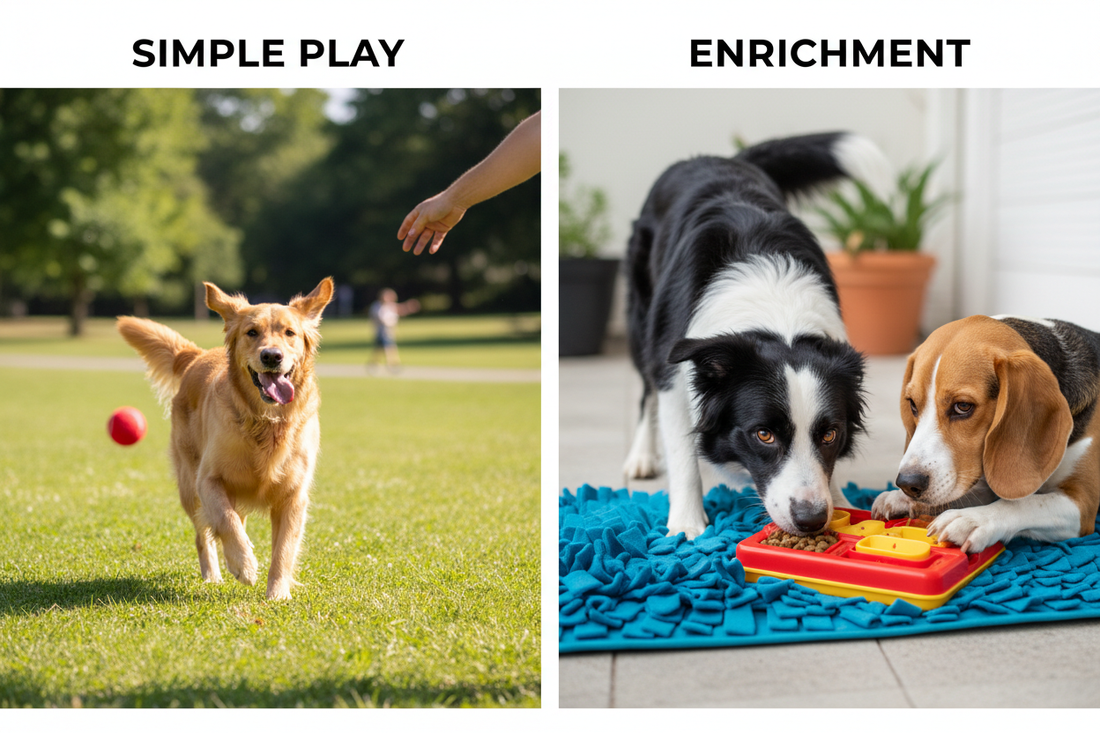 The Difference Between Play and Enrichment