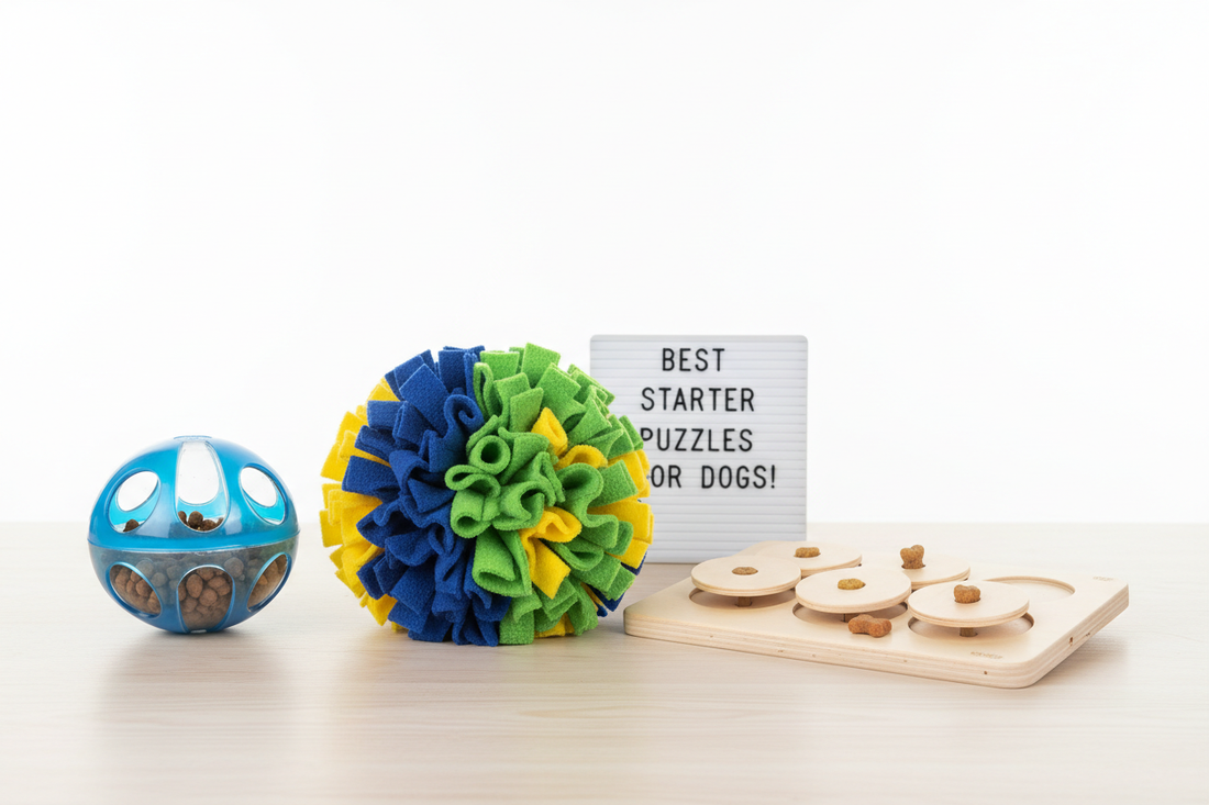 Best Beginner Puzzle Toys