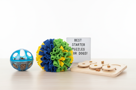 Best Beginner Puzzle Toys