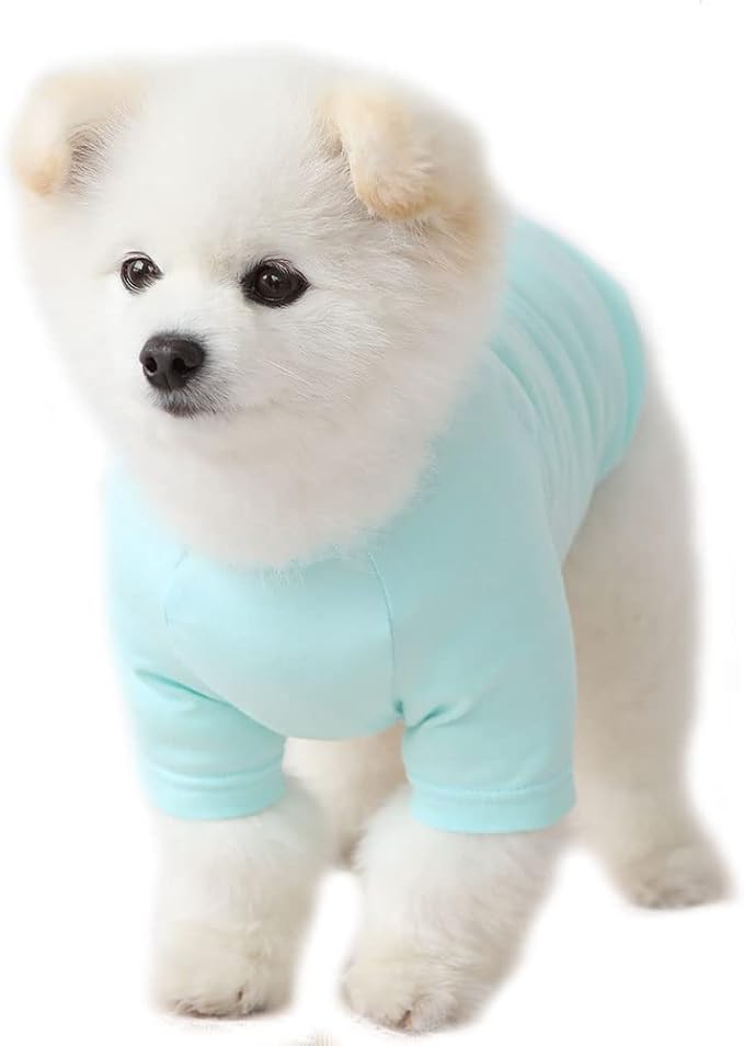 Dog Shirt for Small Dogs Plain T-Shirts Soft Breathable Dog Cotton Shirt pet Clothes (Large, Mint)