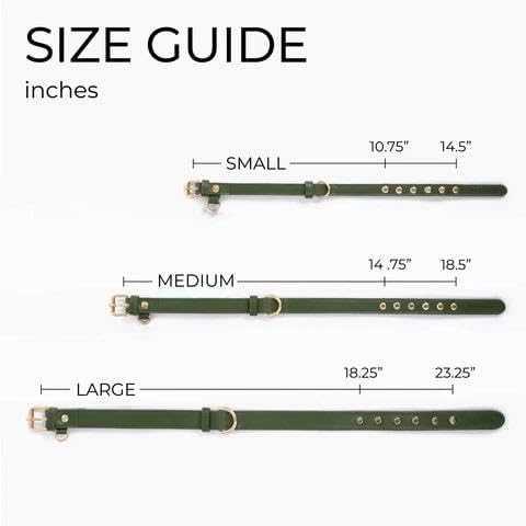 Two Tails Pet Company Cactus Vegan Leather Dog Collar, Adjustable Pet Collar with Gold Hardware and D Rings for Leash and ID Tag for Dogs and Puppies, Easy to Clean & Eco Friendly, Green, Size Medium