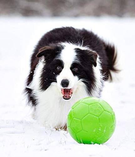 Jolly Pets Large Jolly Soccer Ball Floating-Bouncing Dog Toy; 8" Green Apple