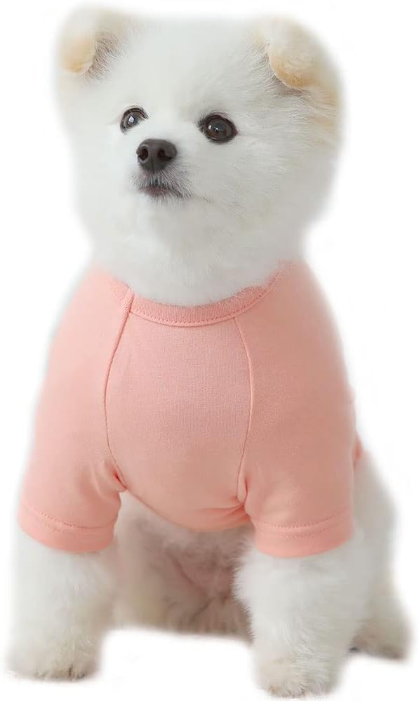 Dog Shirt for Small Dogs Plain T-Shirts Soft Breathable Dog Cotton Shirt pet Clothes (Medium, Peach)