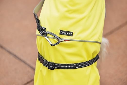 Goldpaw Rainpaw Waterproof Dog Raincoat - Durable Dog Rain Jacket for All Seasons - Easy to Wear, Adjustable, Premium Pet Outerwear - Made in The USA - Machine Washable - Beetroot - Size 8