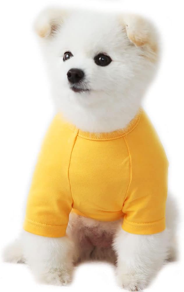 Dog Shirt for Small Dogs Plain T-Shirts Soft Breathable Dog Cotton Shirt pet Clothes (Medium, Yellow)