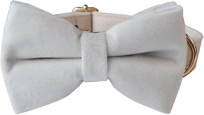 Dog Collar Custom Personalized Engraved Name and Phone Number for Puppy Small Medium Large Pets (XL, Cream)