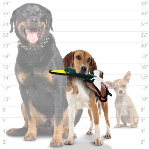 TUFFY - World's Tuffest Soft Dog Toy - Barnyard Duck - Squeakers - Multiple Layers. Made Durable, Strong & Tough. Interactive Play (Tug, Toss & Fetch). Machine Washable & Floats. (2 Combo Pack)