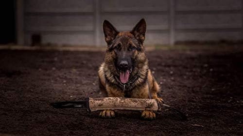 Dingo Gear Tug Toy for Dog Training Agility Tug of War, Jute Dog Bumper with one Handle, Dog Bite Pillow for Aggressive Chewers, 16" S00147