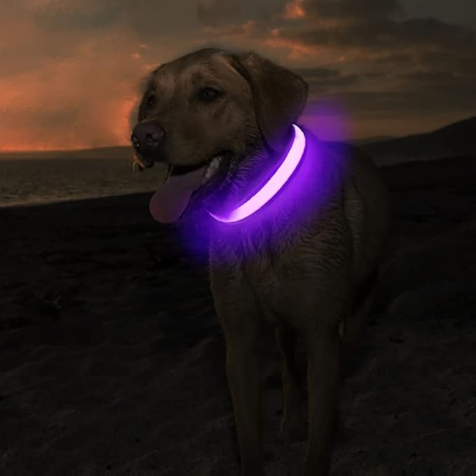 MASBRILL LED Dog Collar - Rechargeable Glow Flashing Purple, Waterproof - 4 Colors, 3 Sizes for Small to Large Dogs (L: 23.62")