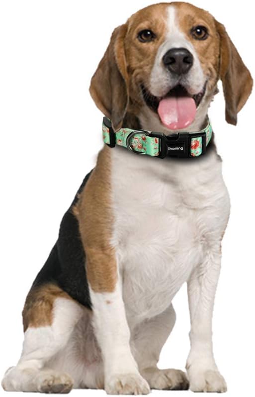 Ihoming Dog Collar and Leash Set for Daily Outdoor Walking Running Training, Floral GreenLake Design for Large Boys Girls Dogs Cats Pets, L-Up to 80LBS