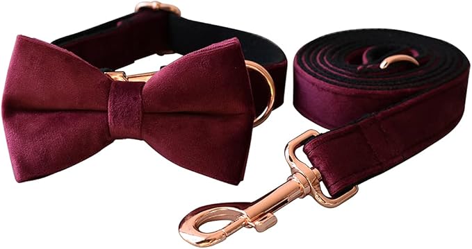 Dog Collar Custom Personalized Engraved Name and Phone Number for Puppy Small Medium Large Pets (L, Red Wine)