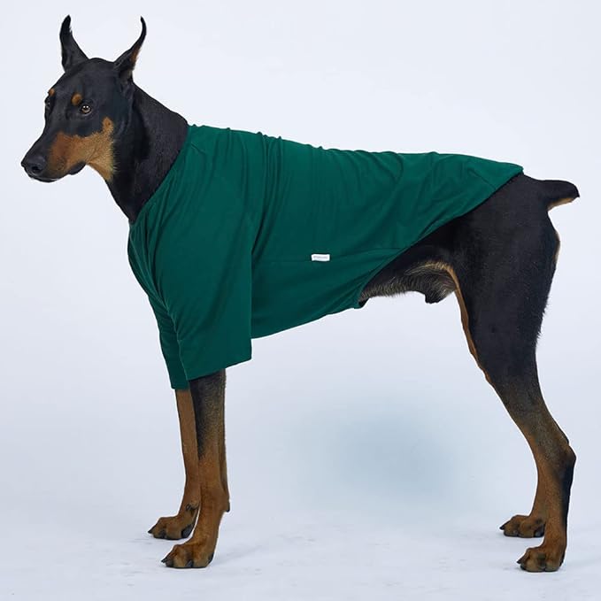 Dog Shirt for Small Dogs Plain T-Shirts Soft Breathable Dog Cotton Shirt pet Clothes (5X-Large, Green)