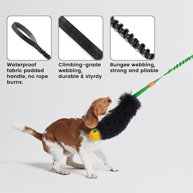 HOWGO Dog Rope Toy,Dog Bungee Chaser Toy 100% Sheepskin,Sheep Smell Tug Toy for All Breeds (Green, Short Without Ball)